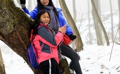 欲罢不能什么意思